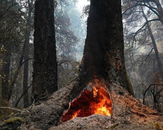 美加州大火致3000居民撤离