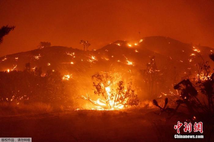 美国加州“酒乡”遭遇大火 千亩土地被毁