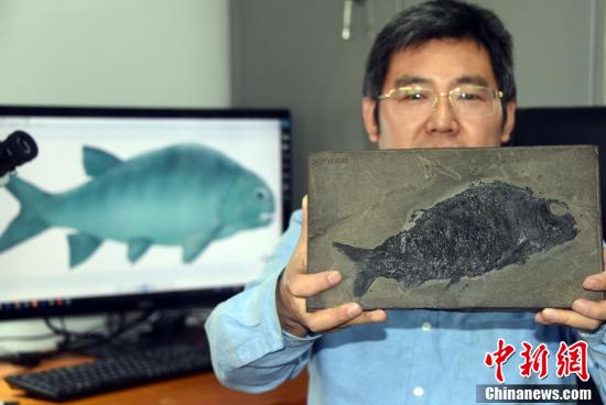 中国科学家研究新发现2.44亿年前“盘州暴鱼”