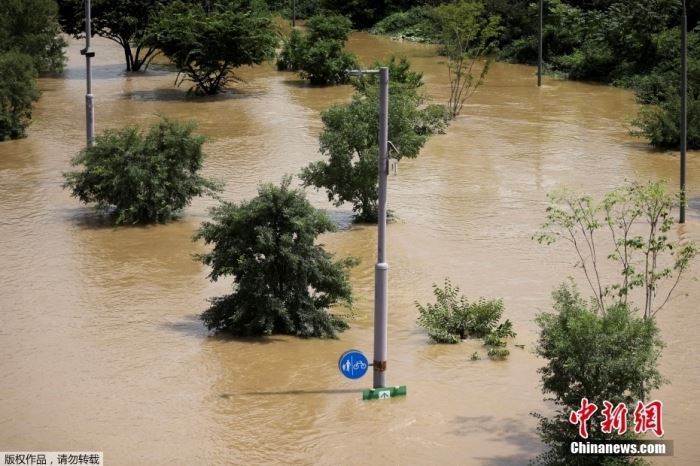 韩国暴雨已致13人死亡