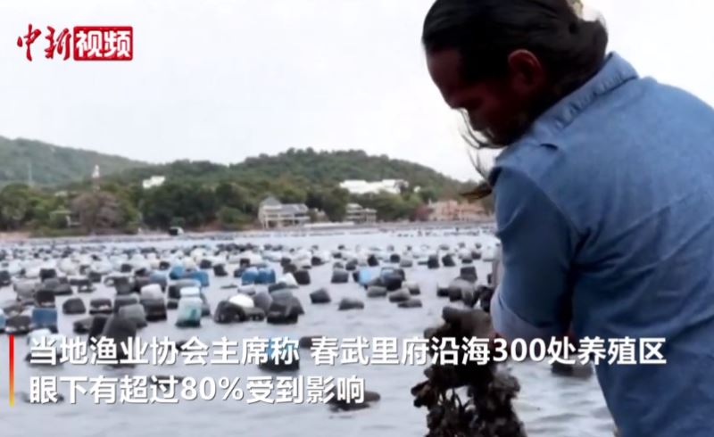 泰国东部海域浮游生物大量繁殖 渔业遭重创
