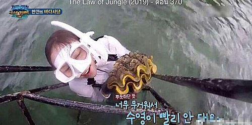 韩国女演员泰国捕食巨蛤被起诉 或面临5年监禁