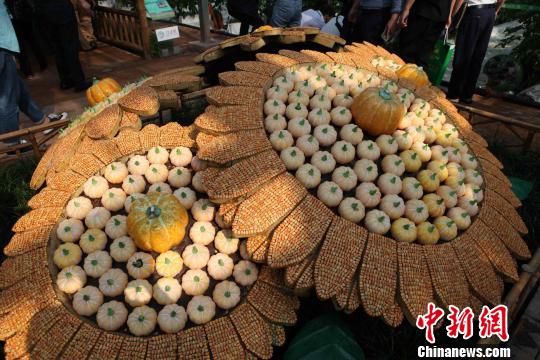四川泸州举行“江之阳”蔬菜品赏会 打造优秀农业品牌