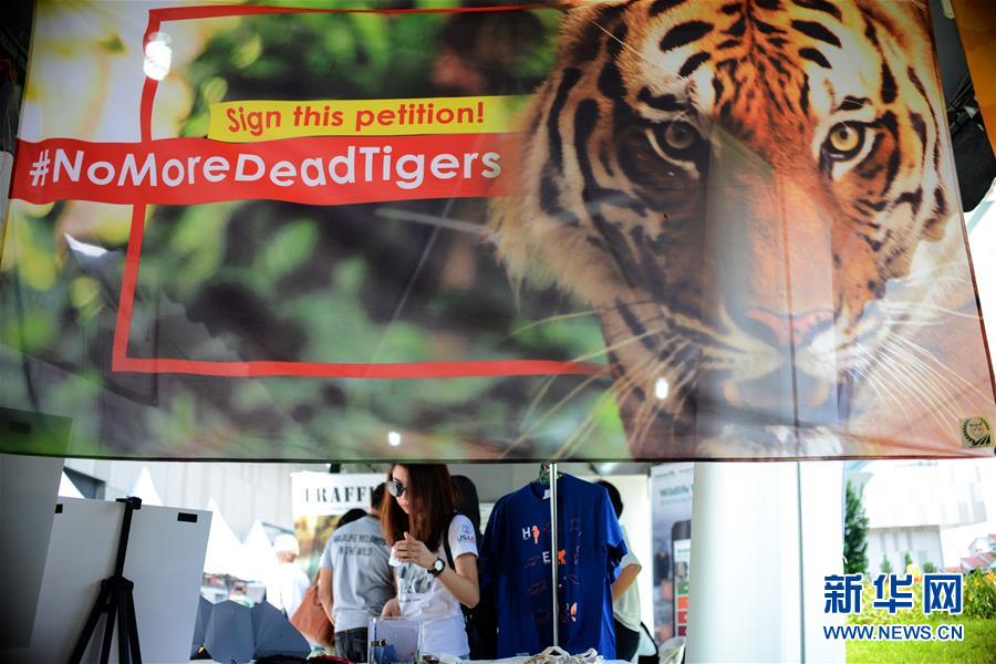 （国际）（1）马来西亚将加强打击偷猎马来虎行为