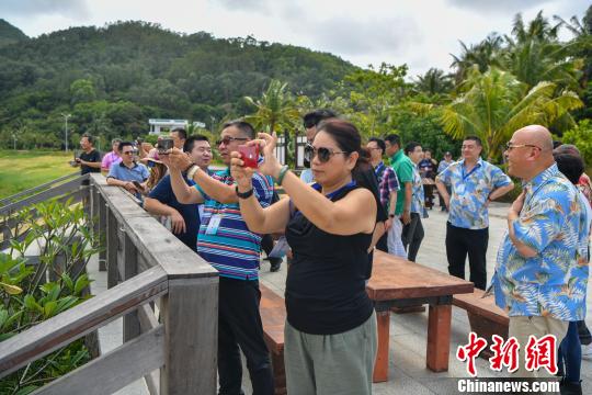 海外华文媒体代表拍摄沙美村美景。　骆云飞 摄