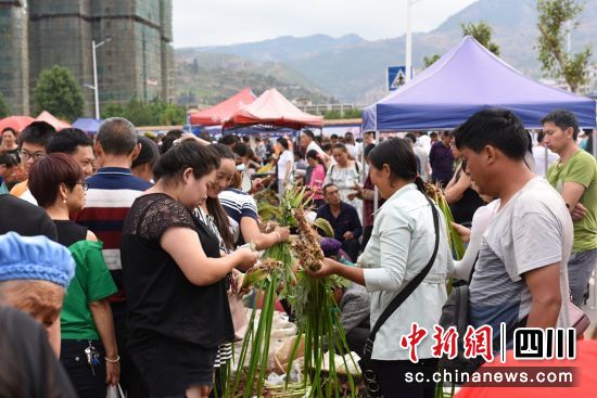 艾草文化节现场。钟欣摄