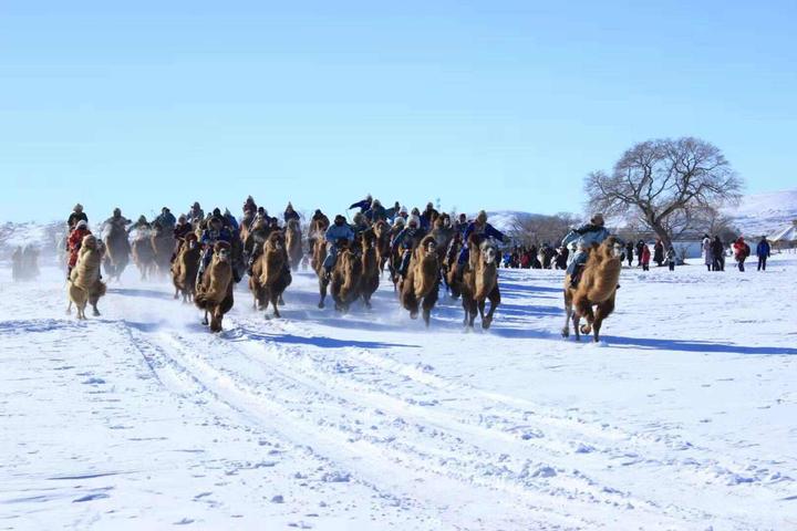 2019•錫林郭勒冬季旅遊啓動儀式暨第17屆「渾善達克」冬季那達慕21日於正藍旗舉行