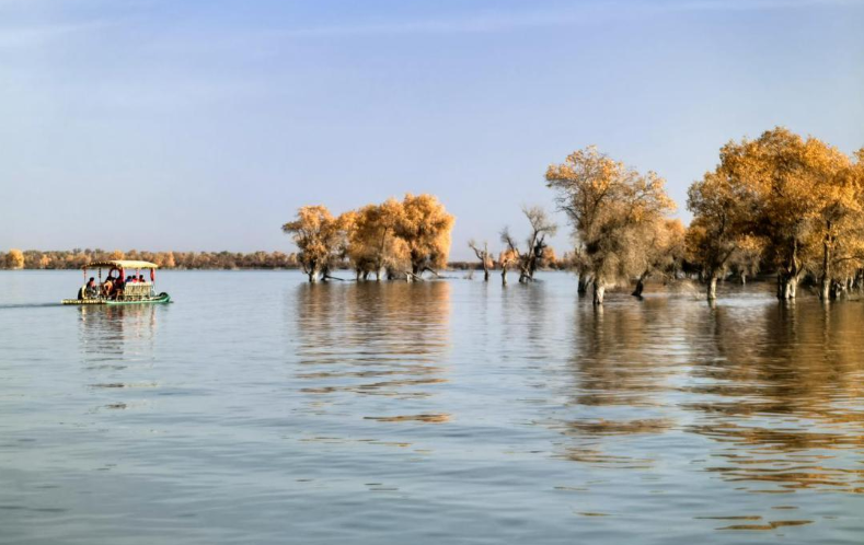 “出发吧新疆”阿克苏地区2025年“胡杨礼赞”秋季文化旅游活动暨沙雅胡杨季系列活动启幕 金色盛宴激活文旅新动能