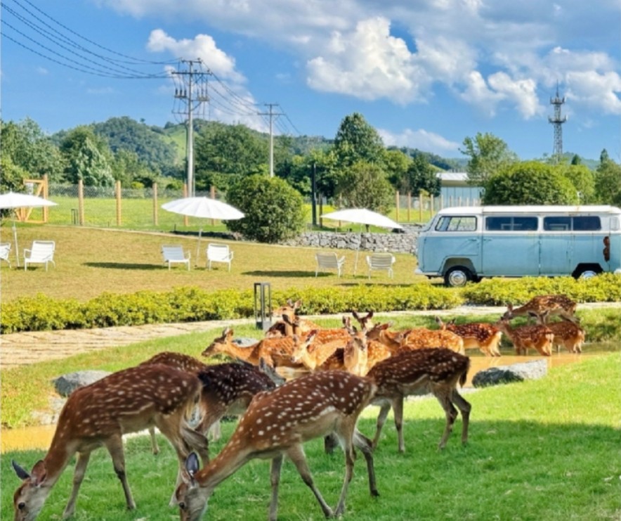 安吉创意设计中心：当东方乡村遇见全球创意