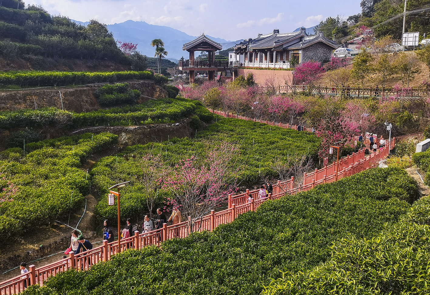 產業強 文化興 交通暢！粵潮安以全周期服務打造投資興業熱土