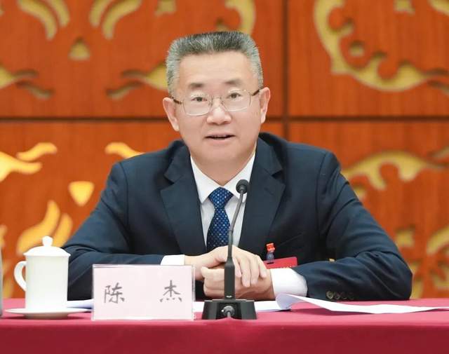 陈杰：江门在新的高质量发展浪潮中主动担当奋力一搏