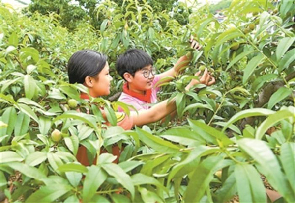 劳动教育是“浪费”时间吗？对劳动的理解应与时俱进